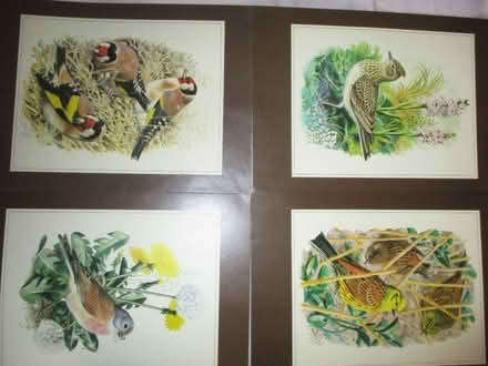 Photo of free C F Tunnicliffe Prints of Birds (Little Hulton M38) #2