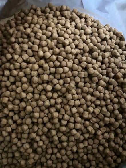 Photo of free Burns Alert dog food (Dore S17) #1