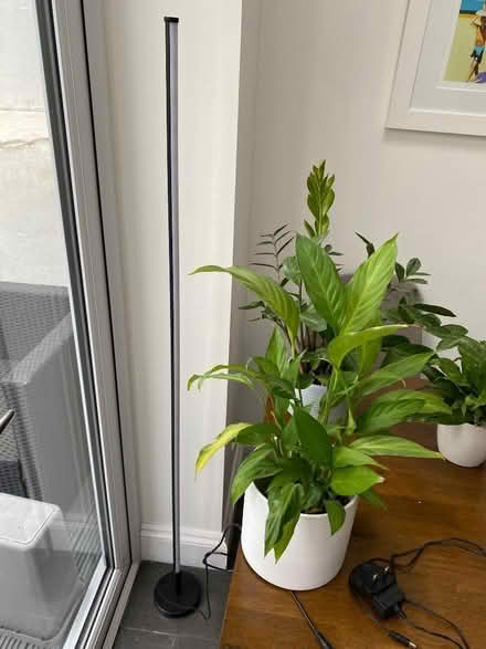 Photo of free Colourful lamp needs new plug (Aldrington BN3) #3
