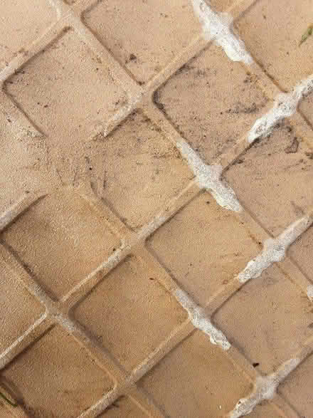 Photo of free Ceramic floor or wall tiles (Purbrook PO7) #1