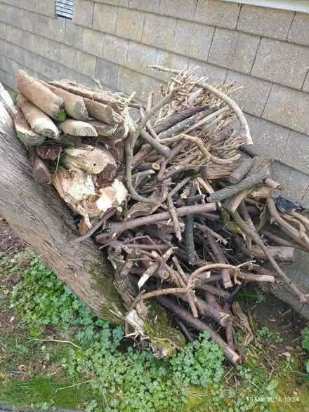 Photo of free Stack of seasoned logs for wood burners or chiminea. (Broadwater SG2) #1
