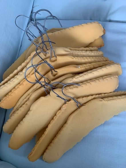 Photo of free 13 foam covered wire coat hangers (Hailsham BN27) #1