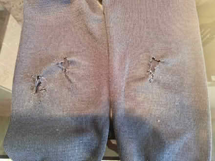 Photo of free Davison school jumper size 36in/91cm ***needs repair*** (Shoreham-by-Sea BN43) #3