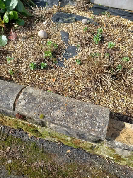 Photo of Coping brick (West parley) #1