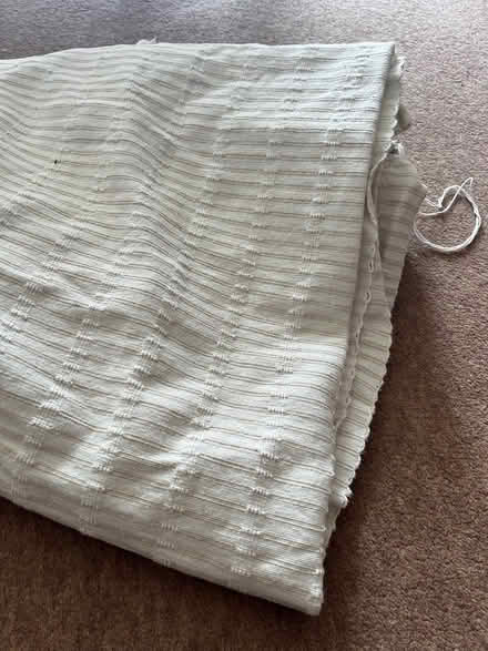 Photo of free Heavy cotton fabric/curtains (Rottingdean) #3