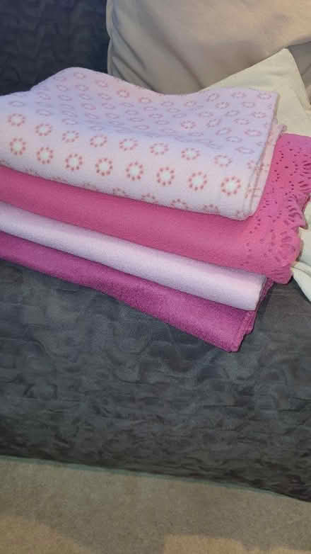 Photo of free Pink blankets - ideal picnics (Ealing Broadway, W5) #1