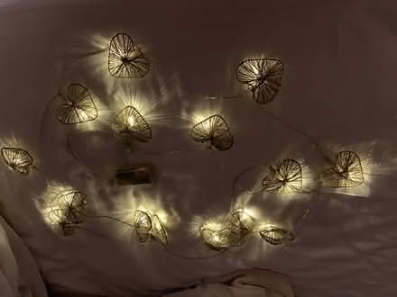 Photo of free Metal heart string lights (Southville, Cwmbran) #2