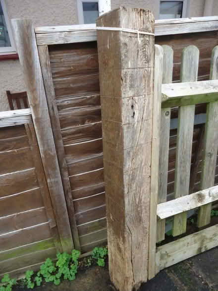 Photo of free Square oak gate post: 15 x 15 x 125 cm (Willingdon BN20) #1