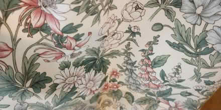 Photo of free Floral Curtains (Summerlands LA8) #1