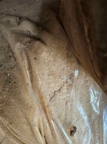 Photo of free Saw dust (Mortimers Cross HR6) #2