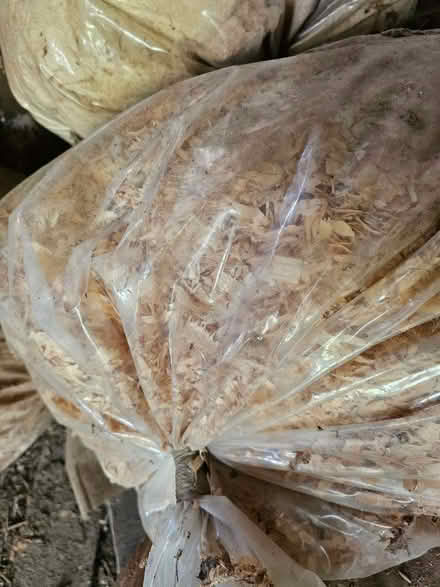 Photo of free Saw dust (Mortimers Cross HR6) #4