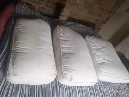 Photo of free Big sofa cushions (Lower Higham ME3) #2