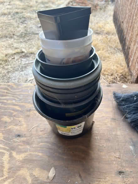 Photo of free Plastic Plant Containers (Bowie) #1