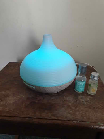 Photo of free Aroma Diffuser Onion Thing (Cheltenham GL50) #1