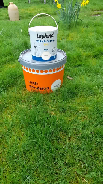 Photo of free Magnolia paint (Ross HR9) #1