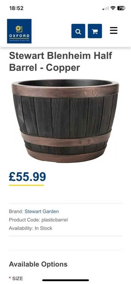 Photo of Extra large flower pot (Abingdon OX14) #1