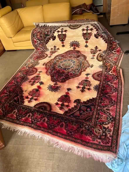 Photo of free Rug 2 m x 3 m (Kedron , Brisbane) #1
