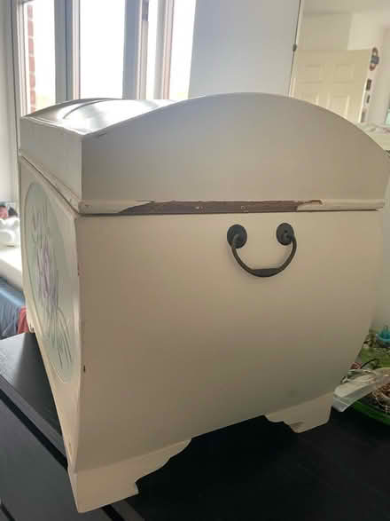 Photo of free Dunelm floral storage box (Stotfold, Hitchin, SG5) #3