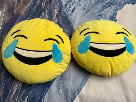 Photo of free Pair of scatter cushions (Surrenden BN1) #1