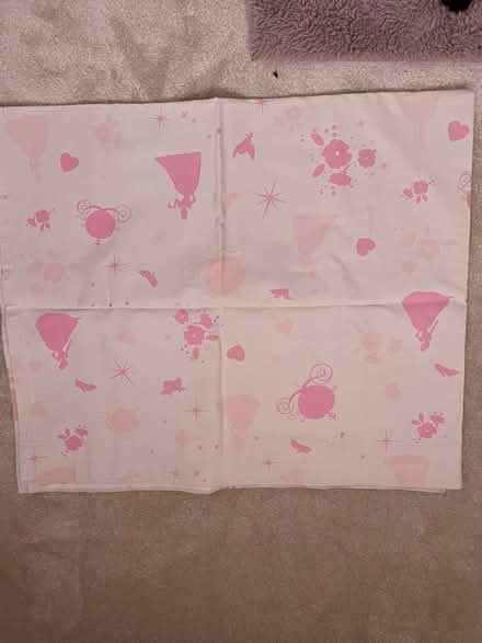 Photo of free Disney princess curtians (Gainsborough, Ipswich, IP3) #1