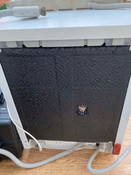 Photo of free Bosch dishwasher (Walton-le-Dale PR5) #4