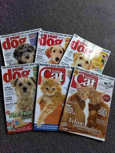 Photo of free Dog and cat magazines (Higher Brixham TQ5) #1