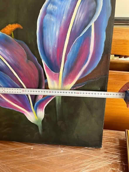 Photo of free Tulip painting canvas (Kedron , Brisbane) #3