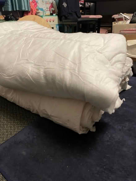 Photo of free Two double duvets no covers (Bury BL9) #1