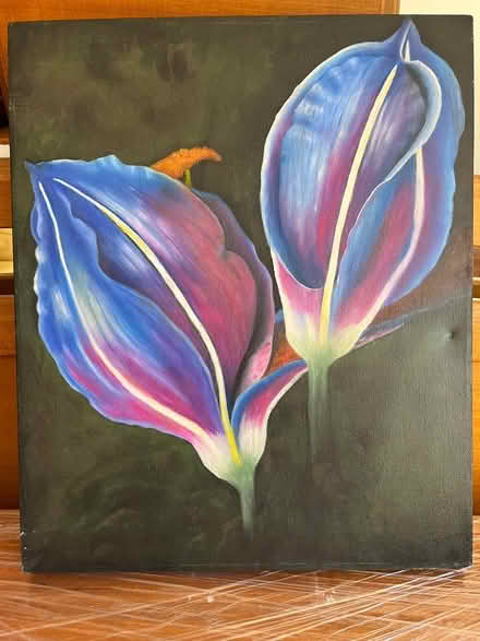 Photo of free Tulip painting canvas (Kedron , Brisbane) #1