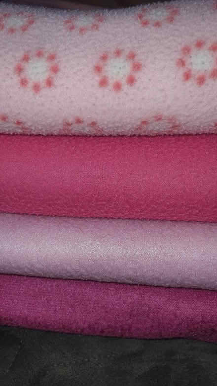Photo of free Pink blankets - ideal picnics (Ealing Broadway, W5) #2