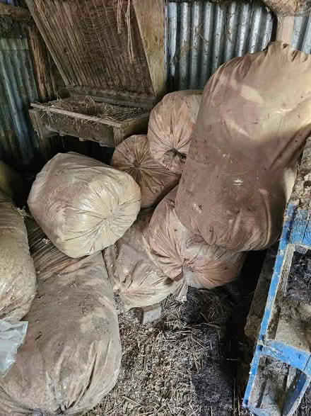 Photo of free Saw dust (Mortimers Cross HR6) #3