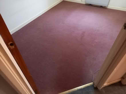 Photo of free Carpets (Kendal LA9) #1