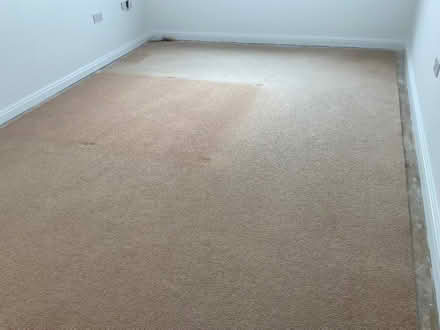 Photo of free Carpet, large (Boscombe BH5) #1