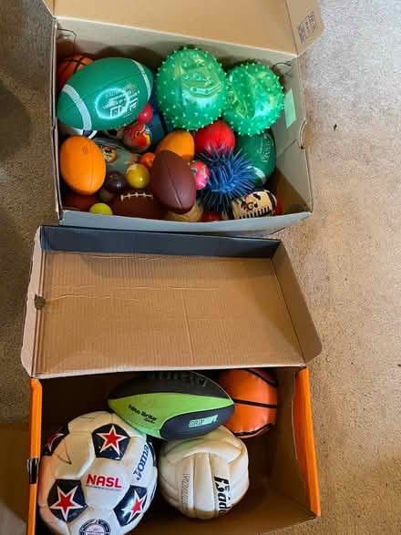 Photo of free Small balls (Wallingford) #1