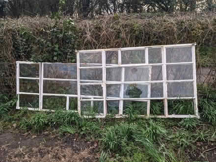 Photo of free Metal crittall windows (SY8) #1