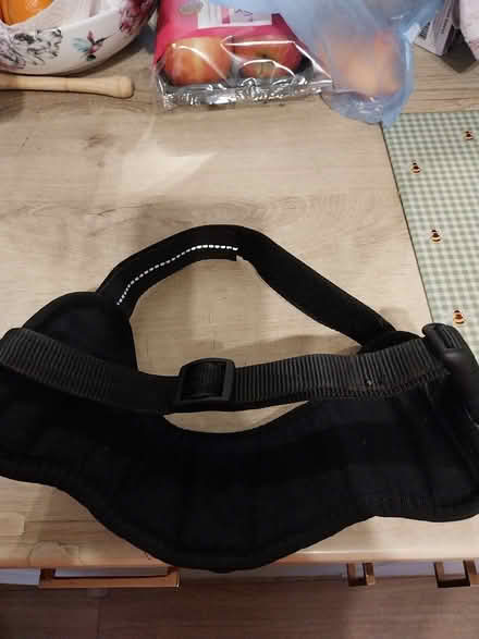 Photo of free Dog Harness (St helens Merseyside) #2