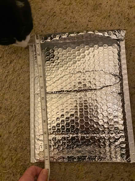 Photo of free Padded Envelopes & Odd Wall Art (Ypsilanti Township) #2