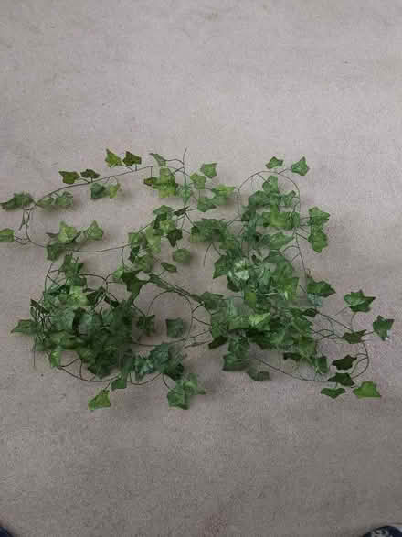Photo of free Lengths of Artificial Ivy (Putnoe MK41) #1