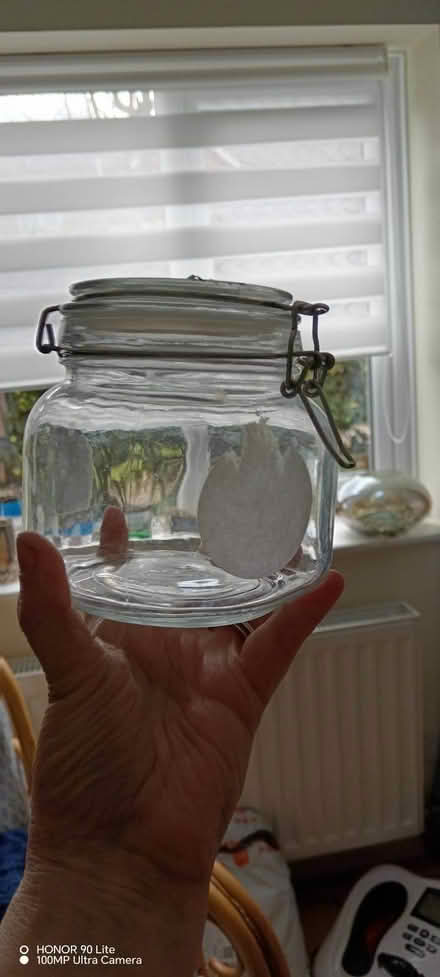 Photo of free Kilner jars and bottles (Old Town SG1) #3