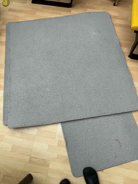 Photo of free 3 rugs (Edinburgh EH5) #1