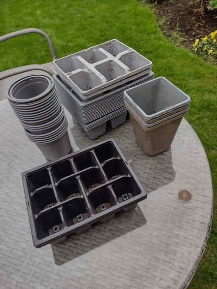 Photo of free Plant Pots/Seedling Trays (Tonbridge TN9) #1
