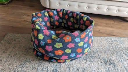 Photo of free Cat bed (Caldecott OX14) #1