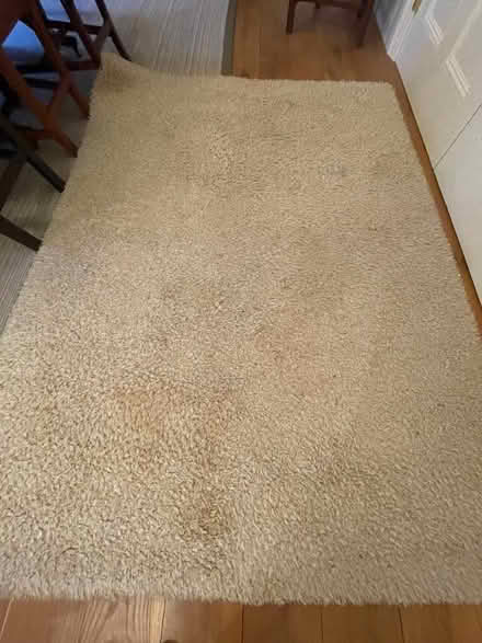 Photo of free IKEA Area rug, neutral colour (Norham Manor OX2) #1