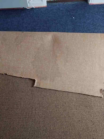 Photo of free Brown carpet, 4 rooms (Chorlton M21) #1