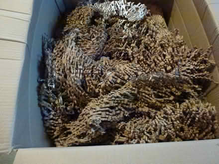 Photo of free cardboard packaging (Fetcham) #2