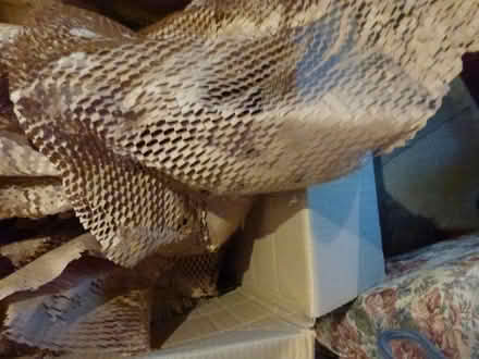 Photo of free cardboard packaging (Fetcham) #1