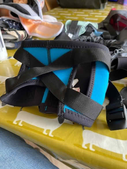 Photo of free Small dog ginger lead harness (KT13) #1