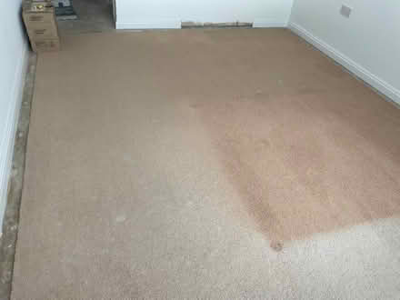 Photo of free Carpet, large (Boscombe BH5) #2