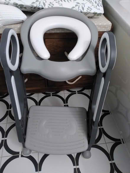Photo of free Potty seat and step (billericay CM12) #1