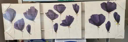 Photo of free Three panel wall art (Stoke Hill CV2) #1